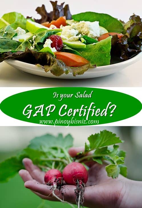 IS YOUR SALAD GAP CERTIFIED?