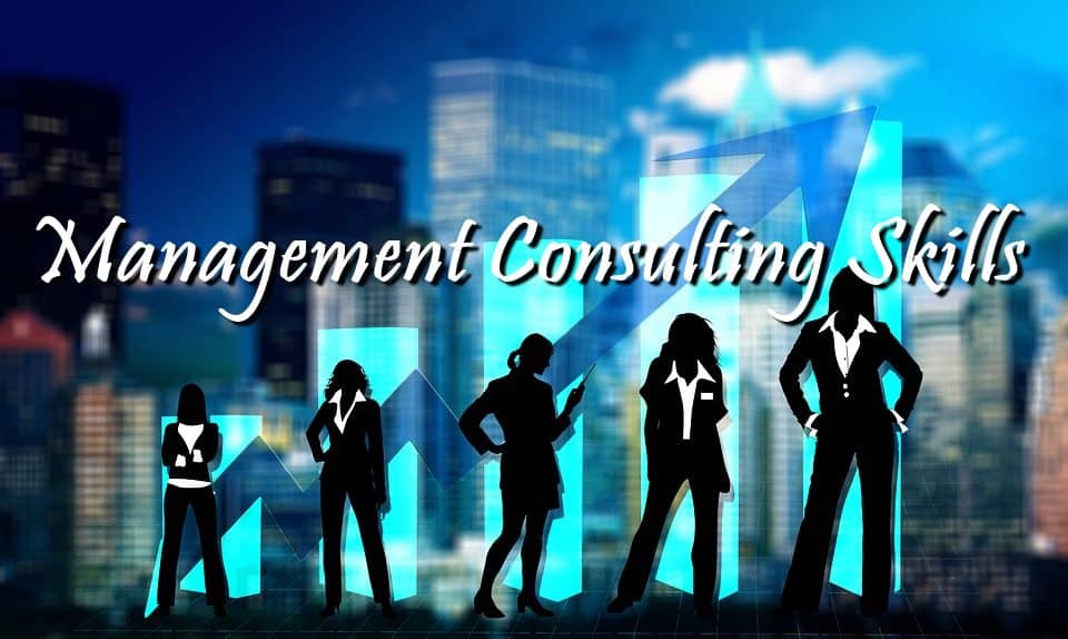 MANAGEMENT CONSULTING SKILLS